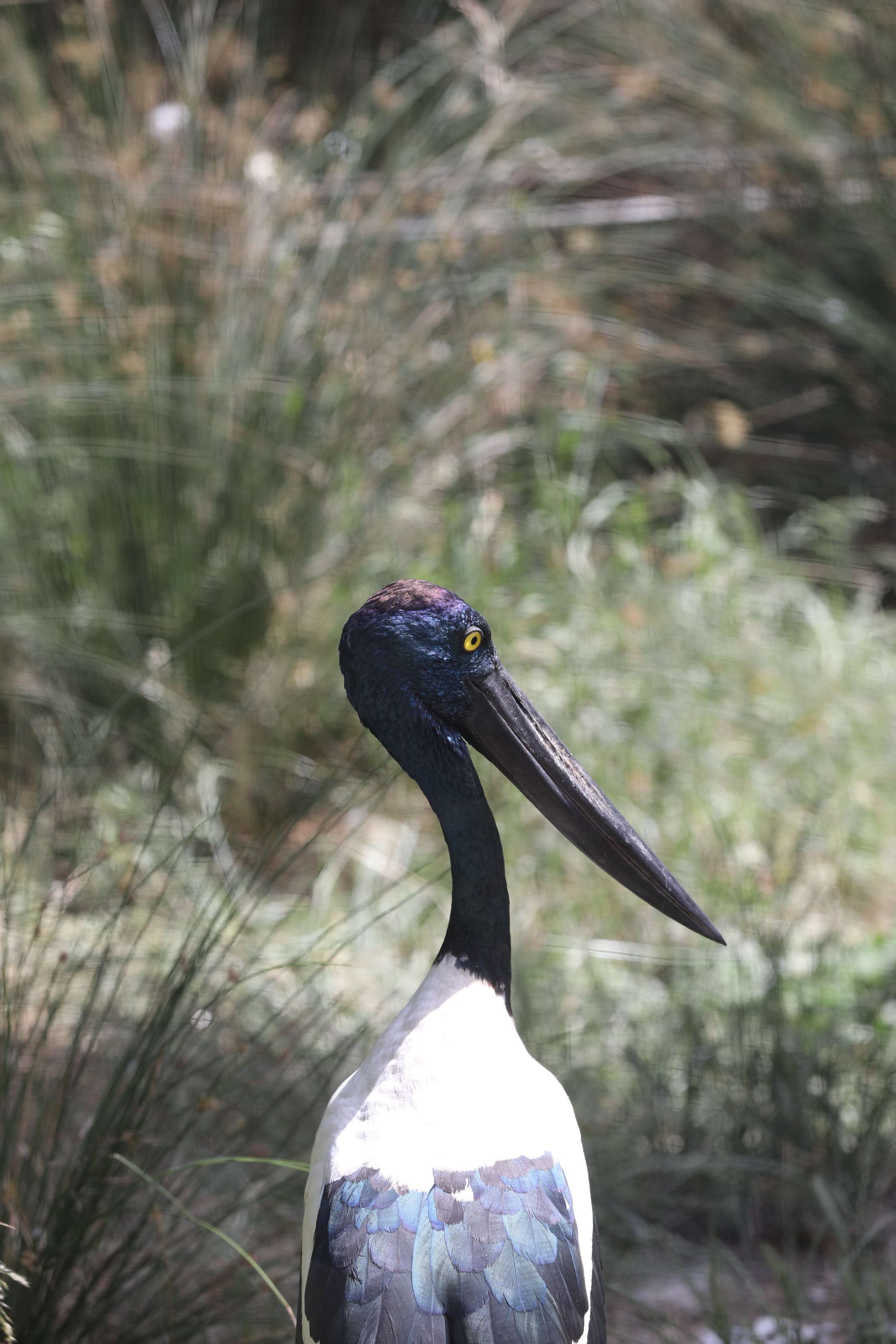 2019 11 22 16 02 55 Canon EOS 5D Mark IV 0023